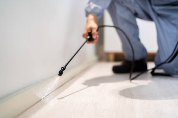 Best Mosquito Control Services  in Fort Hood, TX