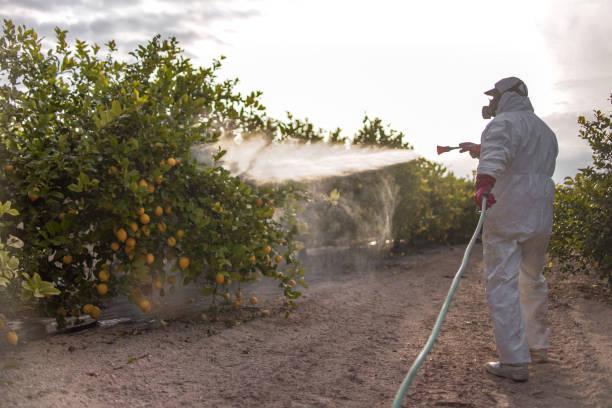 Best Pest Control Near Me  in Fort Hood, TX