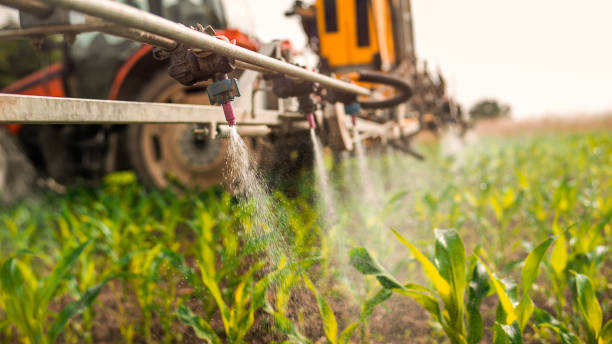 Pest Control Cost in Fort Hood, TX